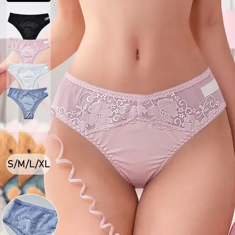 4 Pcs Women's Satin Lace Mesh Underwear Panties, Sexy Plain Fitted Casual Undergarments, All-Seasons High-Waisted Bottoms, Elegant Design, Fitted Panty
