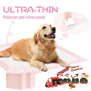 DCT Ultra-Thin Blue Puppy Pee Pads 100 Count 22x22 Quick Dry Leak Proof Super Absorbent Unscented Pet Training Pads