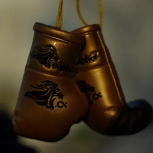 ALPHA GOLD MINI GLOVES 1 of 100