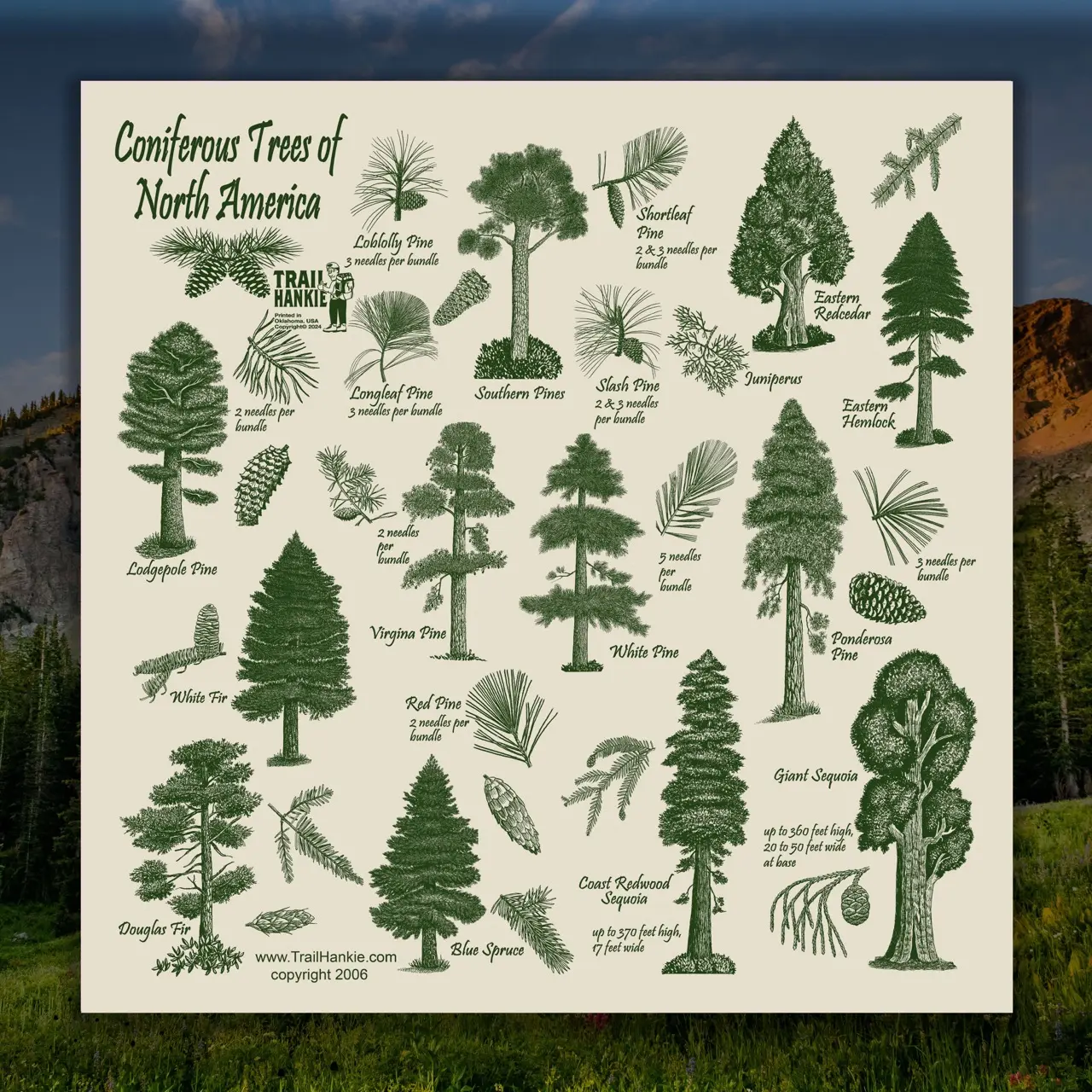 Coniferous Tree Trail Hankie, Hiking Camping Bandana