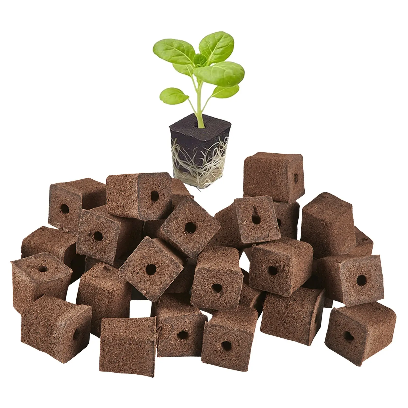 50 Pieces Peat Coco Seedling Rooting Blocks, Upgraded Seedling Cubes for Hydroponic Systems, High Survival Rate for Vegetables and Flowers, Garden