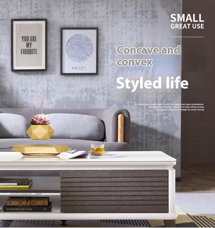 Cool Magnetic Levitating Plant Pot, 360° Rotating Floating Flower Pot with Wooden Texture Base, Unique Home & Office Desk Accessory