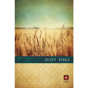 USED-Premium Value Slimline Bible-NLT-Large Print (Paperback)