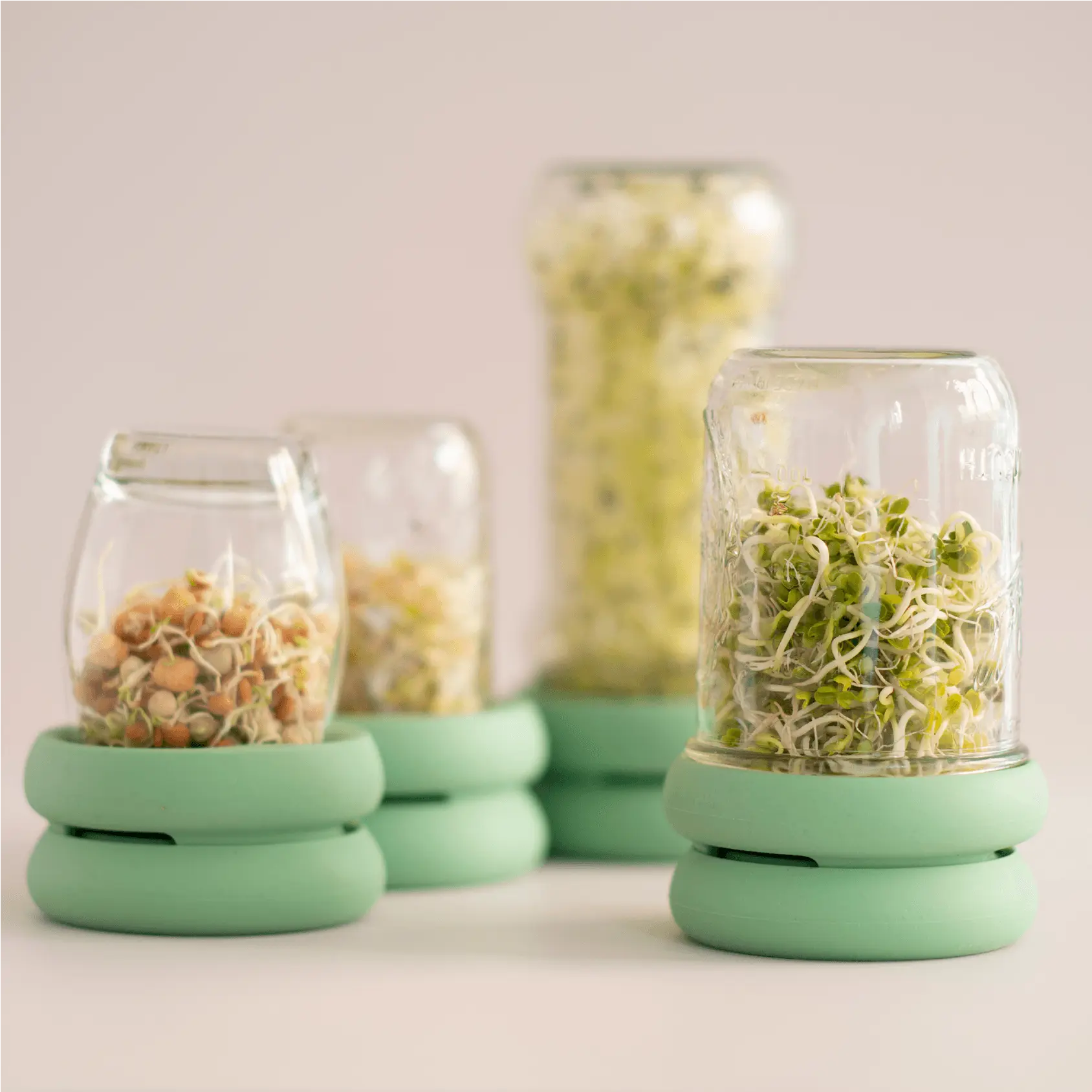 Sprout Huggers