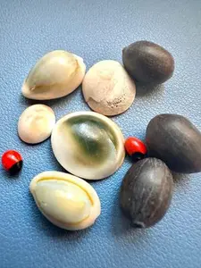 WALLET POWERFUL (4) SMALL TREASURES TO ATTRACT WALLET WEALTH + WALLET MONEY FLOW