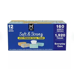 Soft & Strong 2-Ply Premium Facial Tissues 12 Flat Boxes, 160 tissues/box
