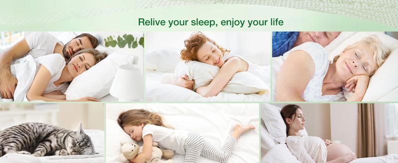 Shilucheng Waterproof Cooling Mattress Protector,6''-18''Deep Pockets Bamboo Cooling Noiseless Must-have Home Decor Washable Breathable Mattress Protector