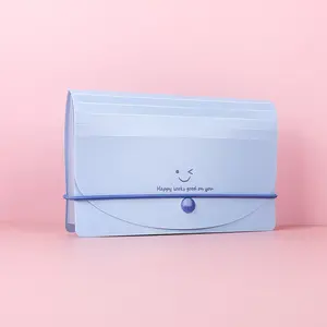 Morandi Blue Portable 13-Compartment File Folder, Waterproof PP Multi-Purpose Organizer, Receipt and Coupon Holder, Travel Document Storage