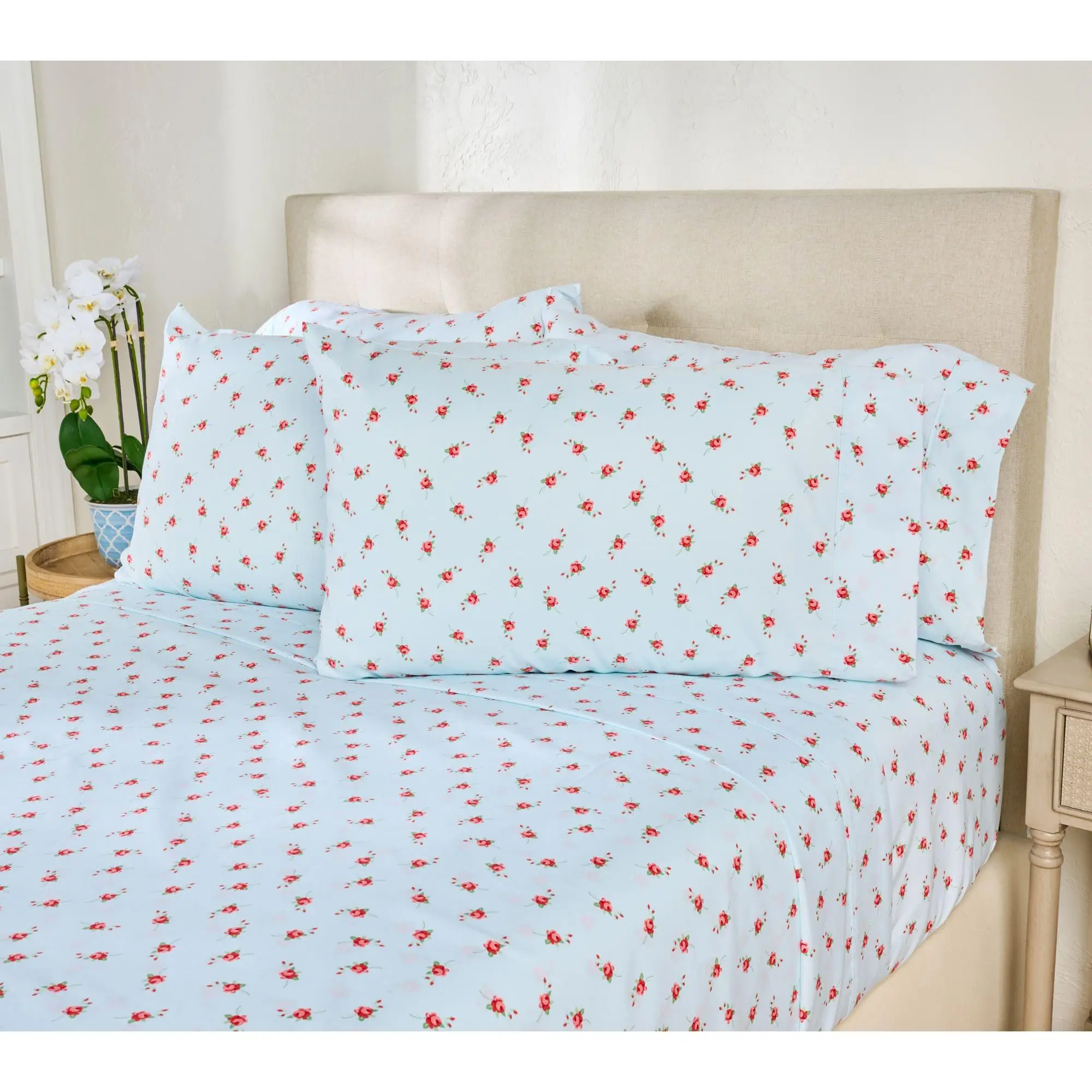 Home Reflection Double Brushed Novelty Printed Sheet Set with Extra Cases