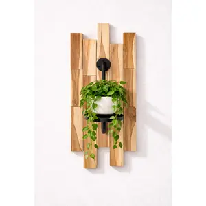 Tea Wall Planter with Matte Black Bracket