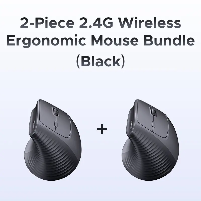 2pcs Black-2.4G Model