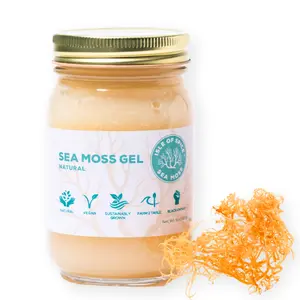 Isle of Spice Sea Moss Gel – Natural (16 oz, Sustainably Grown)