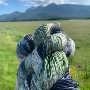 Hand Dyed Yarn! Summer in Southeast Alaska Sock Yarn For knitting or crochet