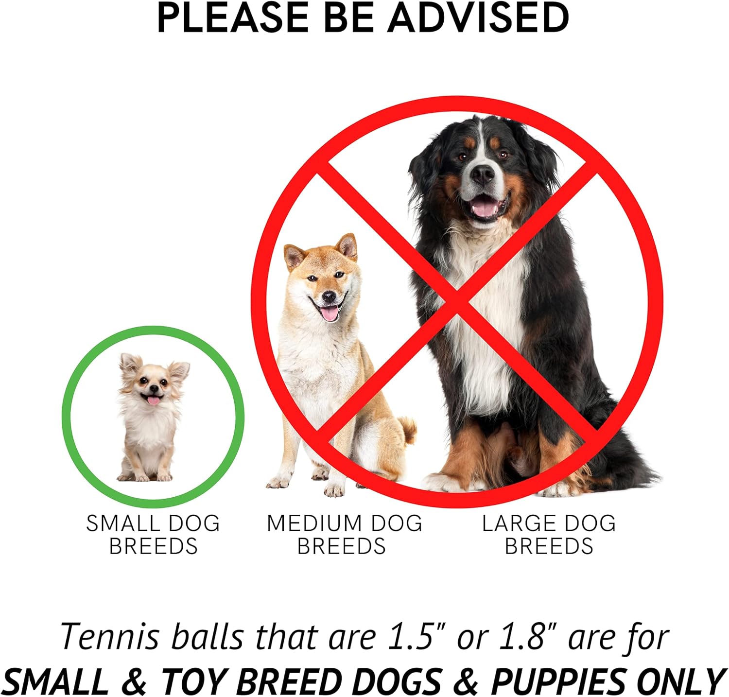 Midlee Red White & Blue Mini Dog Tennis Balls 12 Pack 1.5" Festive Fetch Toys for Small Dogs & Puppies 4th of July Celebrations