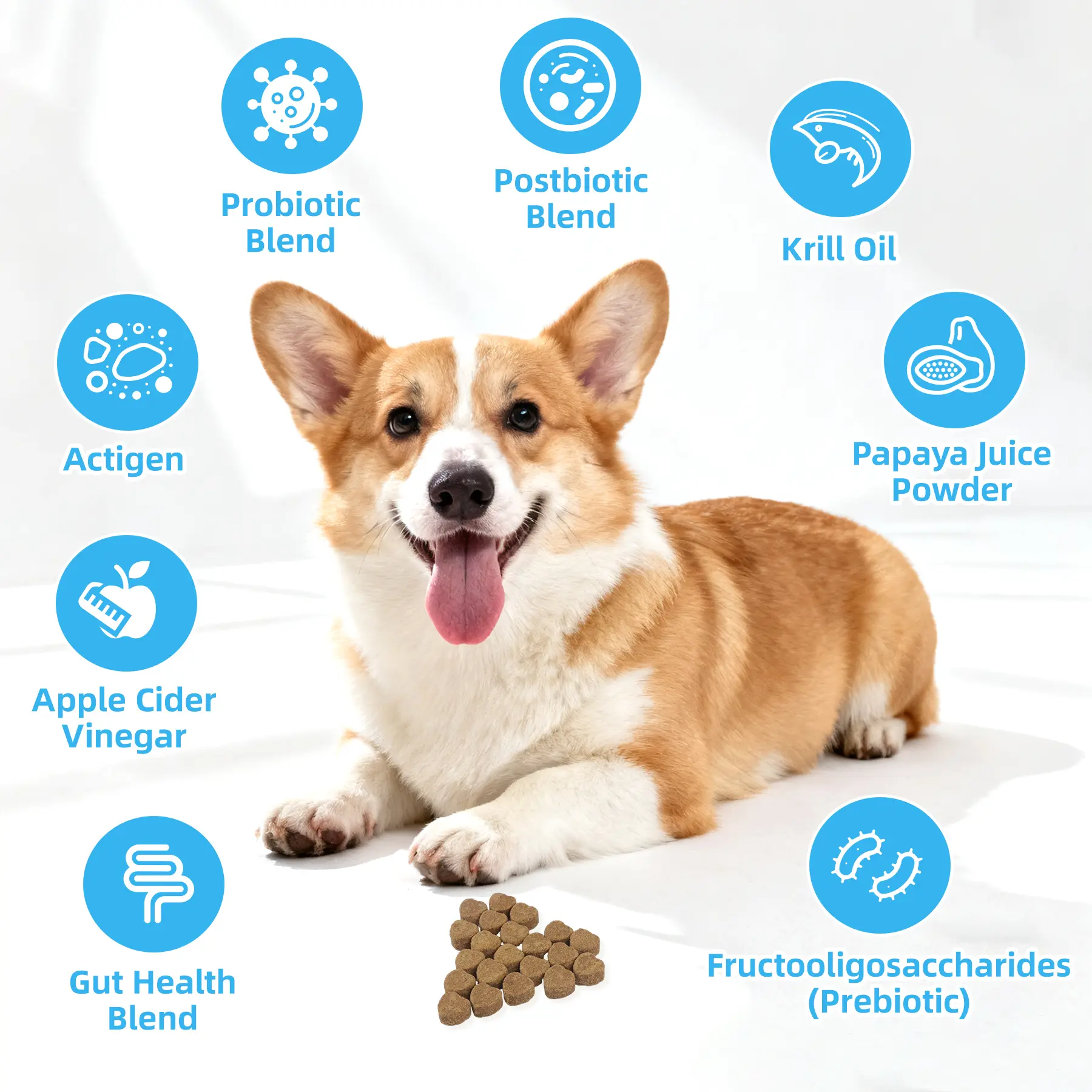 PETLALA 8-in-1 Multivitamin Soft Chews for Dogs – Probiotics for