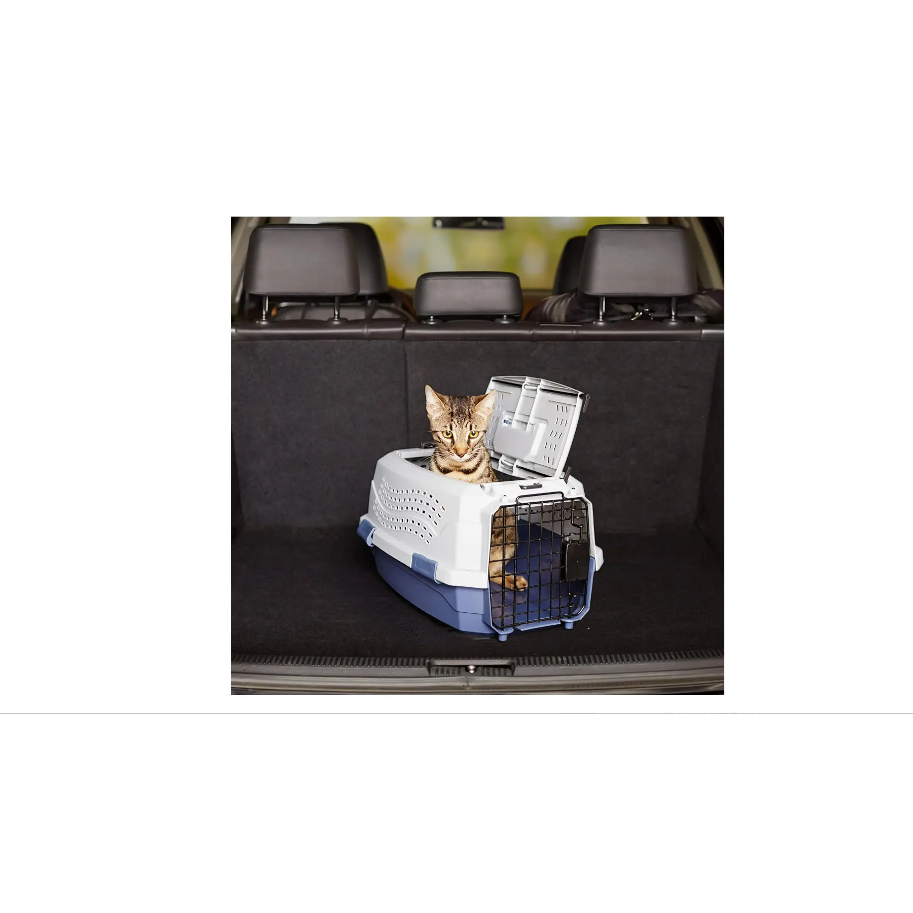 2-Door Top-Load Hard-Sided Pet Travel Carrier for Cats and Small Dogs 19" L x 12.6" W x 10" H Gray & Blue Durable Plastic with Steel Wire Front Door