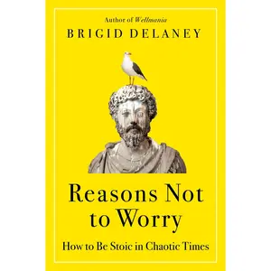 Reasons Not to Worry: How to Be Stoic in Chaotic Times by Brigid Delaney [Paperback Book]