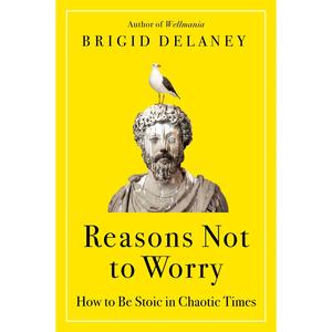 reasons not to worry: how to be stoic in chaotic times by brigid delaney [paperback book]