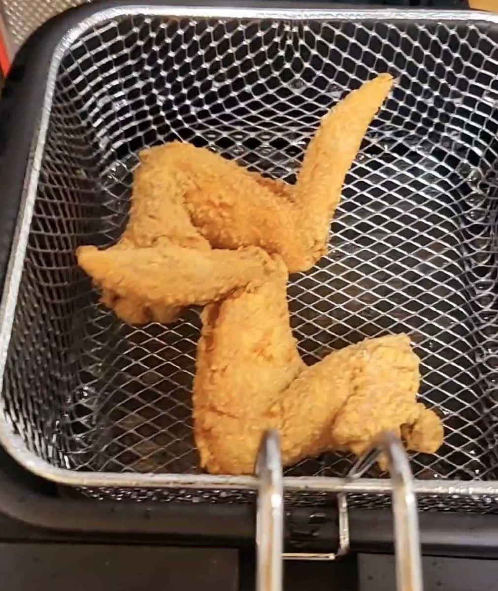 Item: 2.5 liter electric fryer