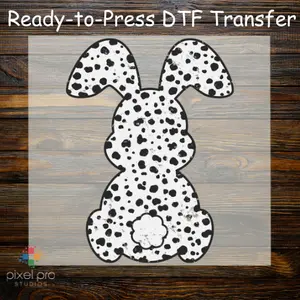 Dalmatian Bunny