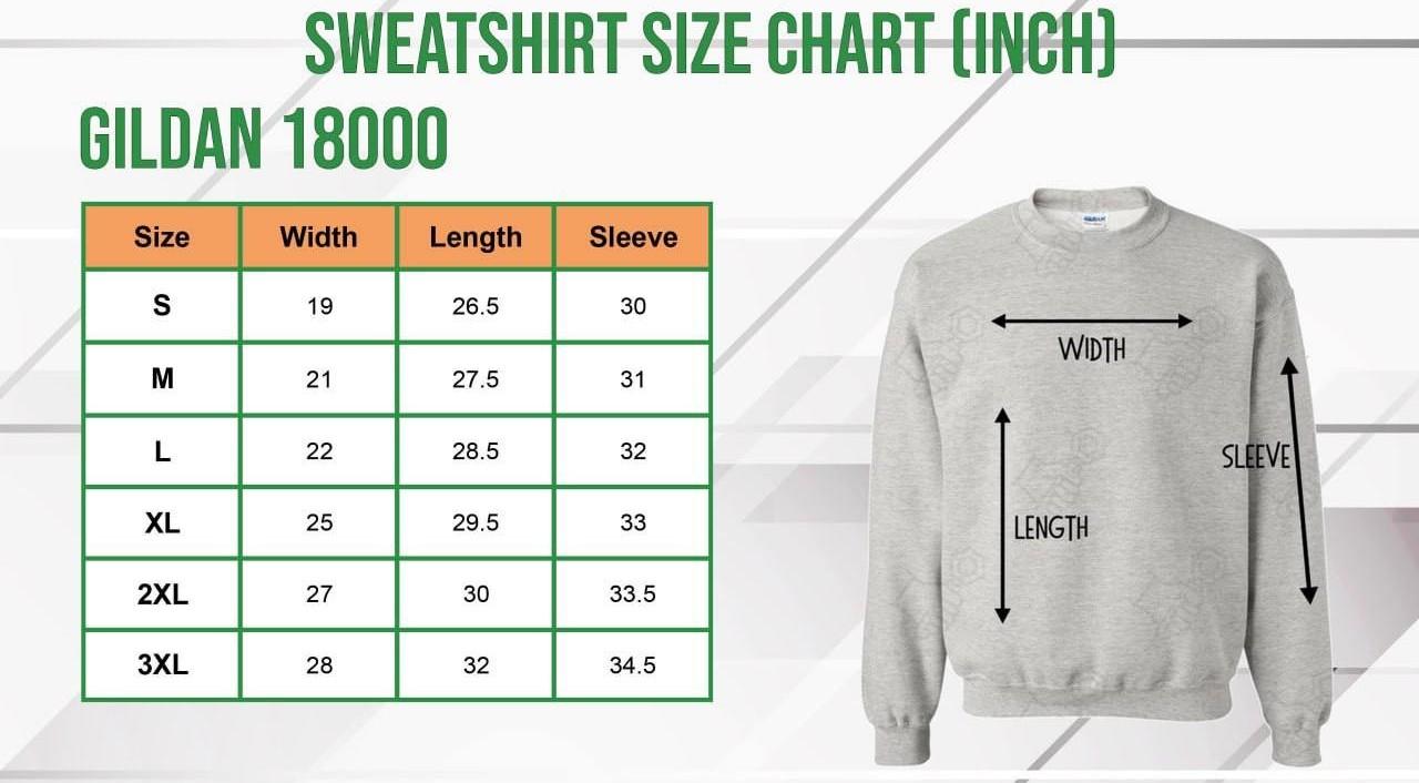 Vintage Baseball Sweatshirt, Retro Established City Baseball Pullover, Ash Color Sports Unisex Crewneck, Casual Graphic Top