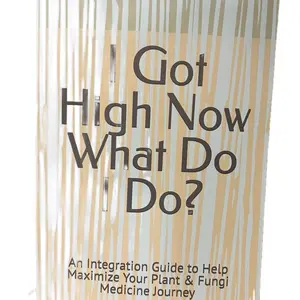 A Guide to Psychedelic Therapy and Mental Health Treatment - I Got High Now What Do I Do