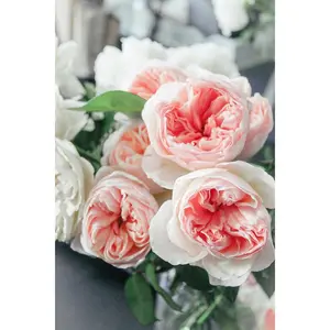 designers choice floral arrangement - large