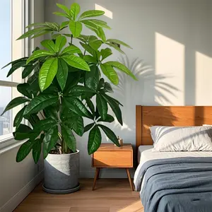 Artificial Wealth Tree, 2 Counts Faux Potted Plant, Decorative Plant for Home Living Room Bedroom Dining Room Wedding Party, Indoor Plants, House Plants Decor