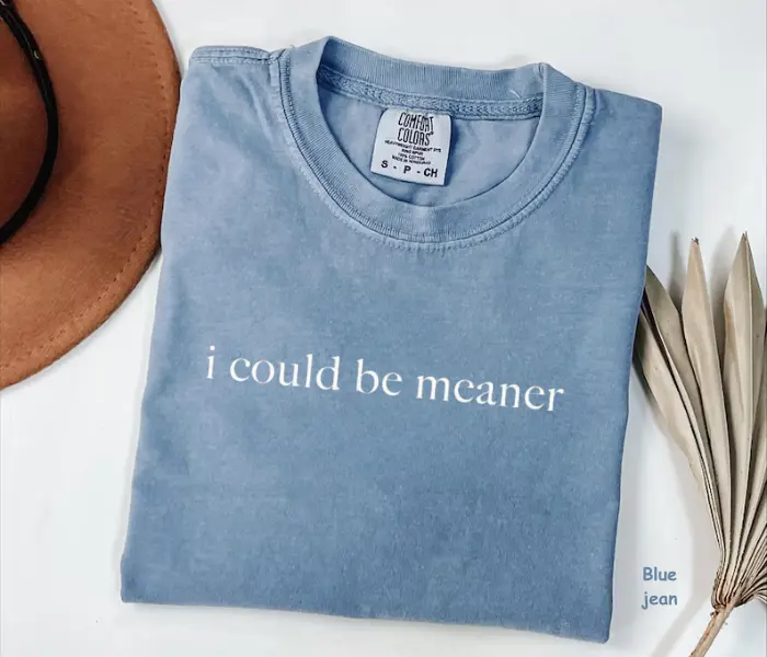 Comfort Colors I Could Be Meaner Shirt, Funny Humor Shirt, Sarcastic Shirt, Funny Quote Tee, Trendy Gift for Women, For Woman