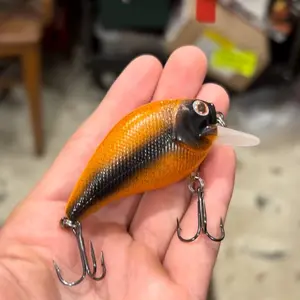 Hand painted crankbait