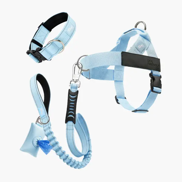 No Pull Dog Harness + Collar + Accessories Set– Ultimate No Pull Bundle -  Dog Friendly CO
