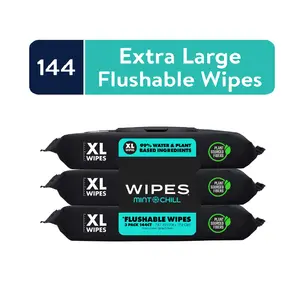 Mint Chill Flushable Wipes Extra Large 3 - 48 Pack - 144 Wipes