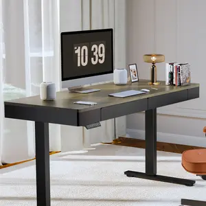 【TikTokShopBlackFriday】FLEXISPOT Standing Desk with Drawer Electric Adjustable Height Stand Up Desk with Storage Organizer, Whole Piece Wooden Desktop for Home, Office