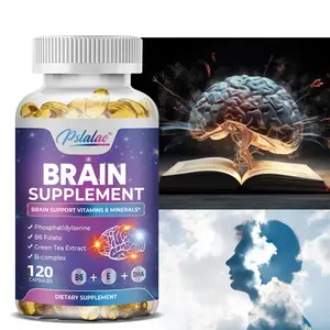 Pslalae - Memory, Focus, Brain Supplement - Memory, Focus, Concentration - Phosphatidylserine, Brain Health Vitamins B6 C E Zinc - 120 Capsules