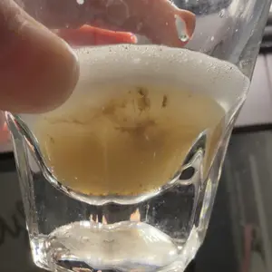 review image 6