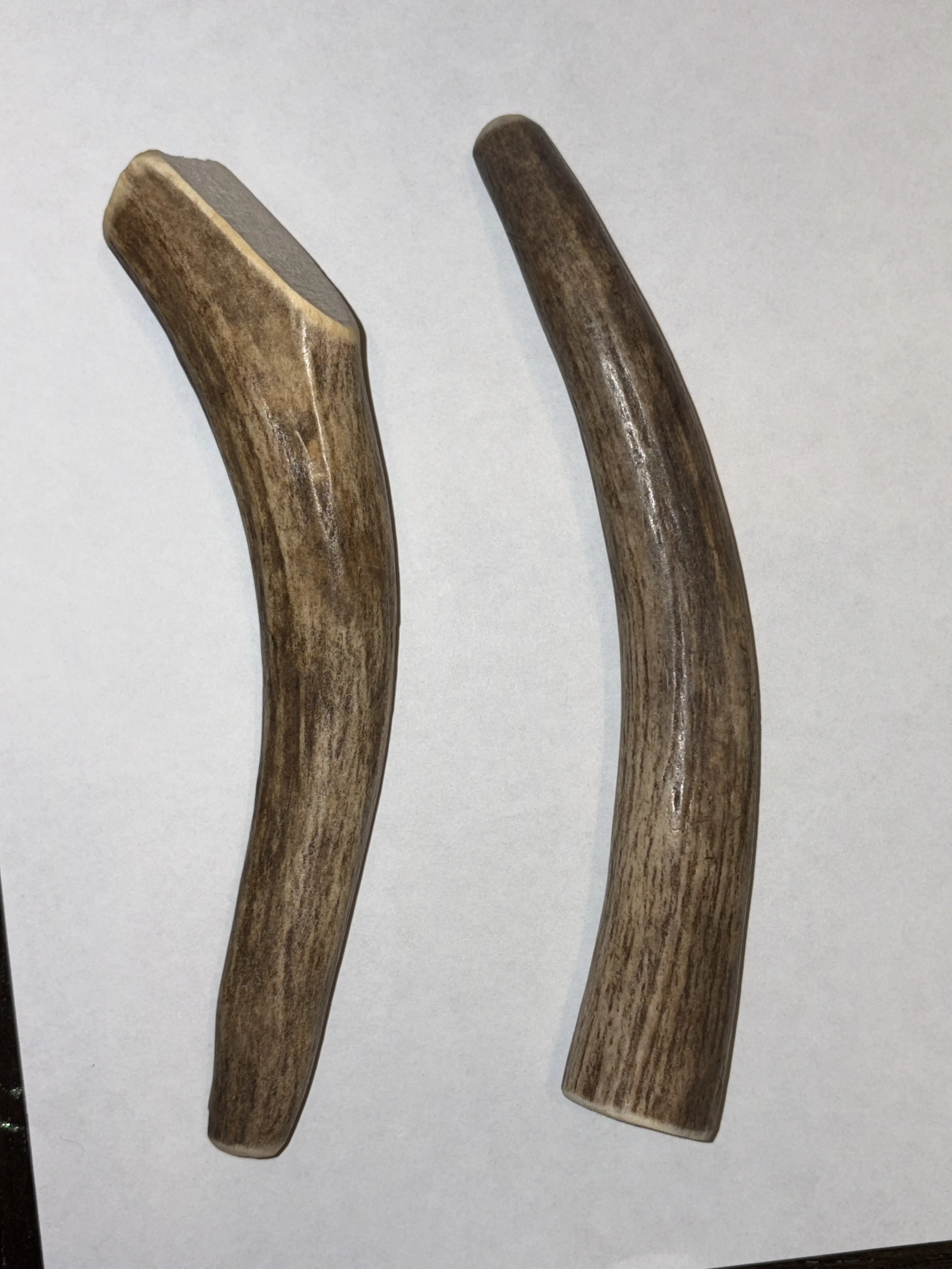Elk Antler Dog Chews 2-Pack