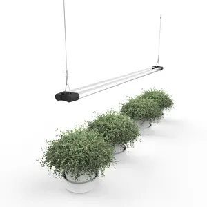 Essential Grow Basic Full Spectrum Dual Tube LED Grow Light 2ft & 4ft Lightweight Energy Efficient 660 nm Red Light for Plant Growth