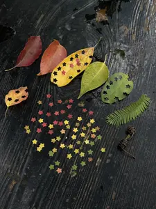 Five-pointed Star Embosser Stamp Embossing Machine Camera Punch Planner Paper Square Embosser Handmade Punching Machine