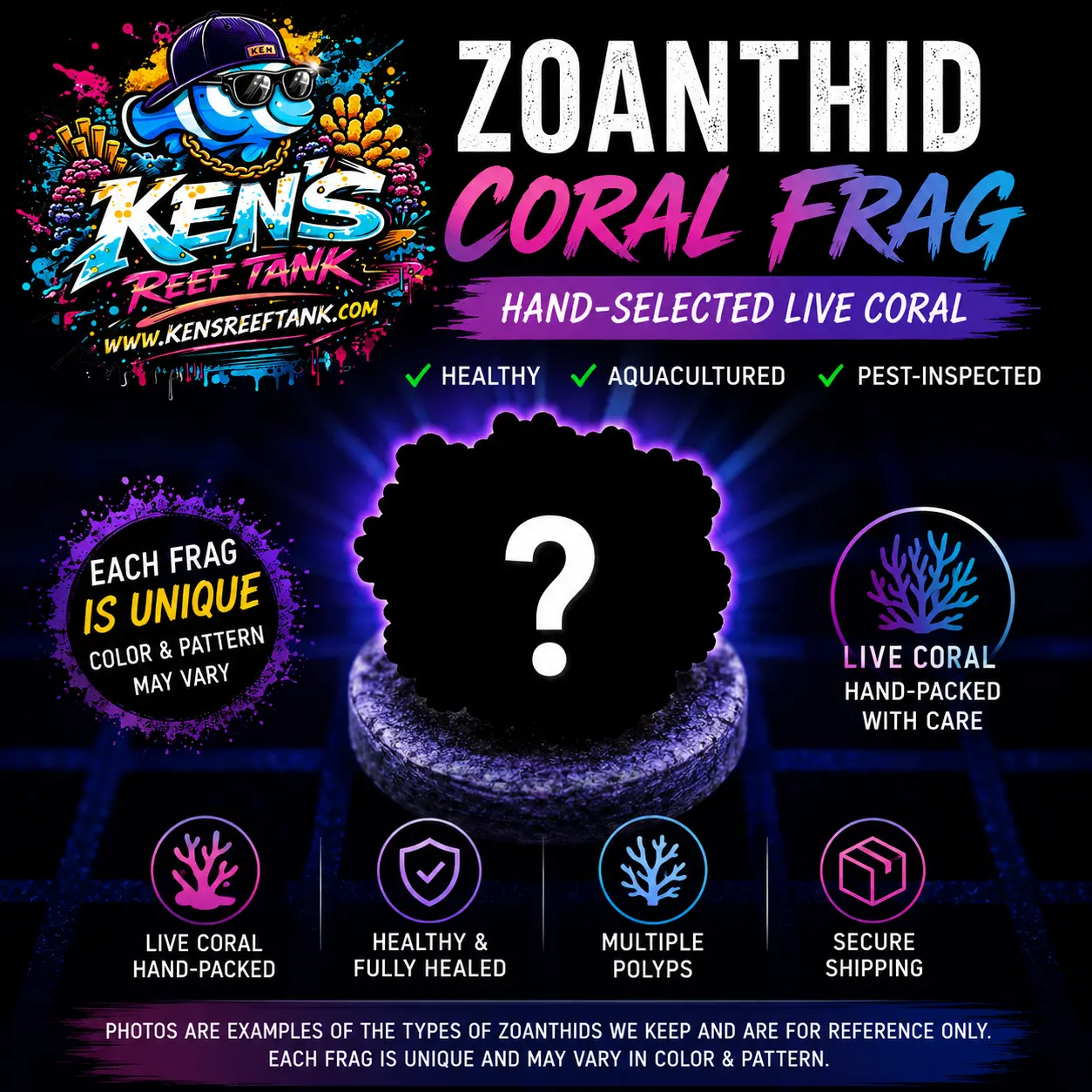 Ken's Reef Tank Collector's Choice Zoanthid Frag – Live Coral