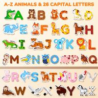 Animals + Letters
