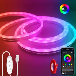 Segrass Neon Rope Lights，RGB LED Strip Lights with Remote and App Control,Music Sync Flexible DIY Design,5V Neon Lights for Bedroom,Living Room,Gaming,and Party Decoration