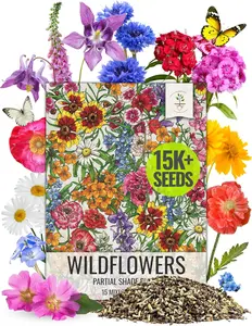 Seed Needs Partial Shade Wildflower Seed Mix – 1oz Bulk Blend with 14+ Open-Pollinated Annual & Perennial Varieties – Shade-Tolerant Flower Seeds for Planting