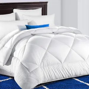 TEKAMON All Season Queen Comforter Winter Warm Soft Quilted down Alternative Duvet Insert with Corner Tabs, Fluffy Reversible Collection for Hotel, Snow White, 88 X 88 Inches