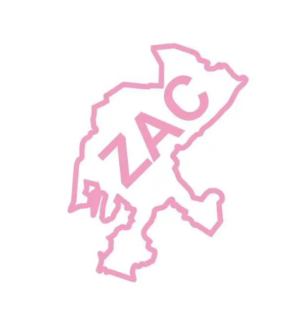 Mexican State Map Outline Zacatecas Vinyl Decal Sticker UV & Waterproof Bumper Window Laptop Automotive Water Bottle Gift accessories – SOFT PINK 6"