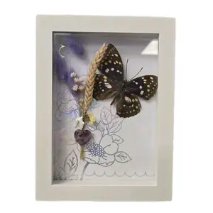 Brown and Purple Pinned Butterfly w/ Amethyst 6x8