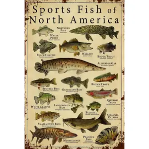 Fish Knowledge Metal Tin Sign Sports Fish Of North America Funny Poster School Education Hunting Lodge Living Room Bathroom Kitchen Dining Room Home Art Wall Decoration Plaque Gift 2025 fashion Resin Middle Finger Ghost Statue city golf