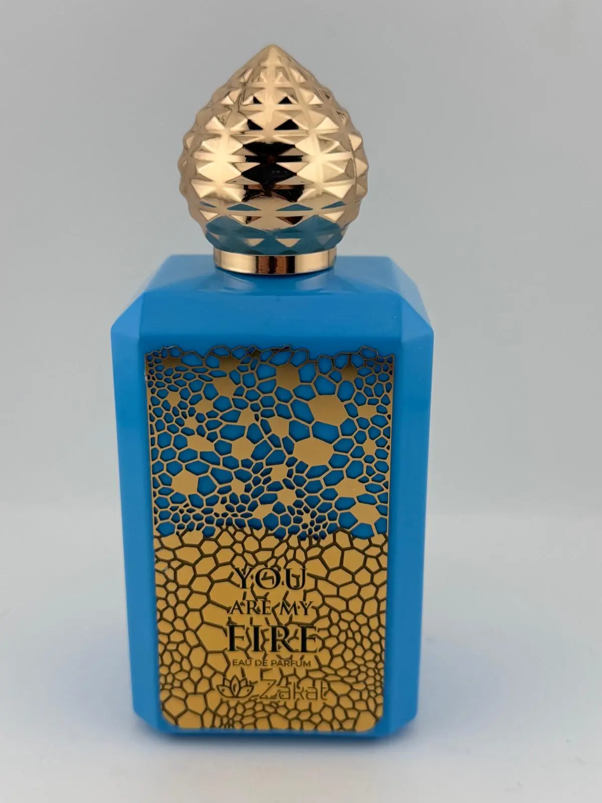 ZAKAT Parfums You Are My Fire Eau de Parfum 100ml e