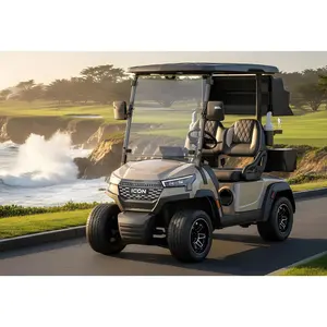 2-Seater Golf Cart Rental