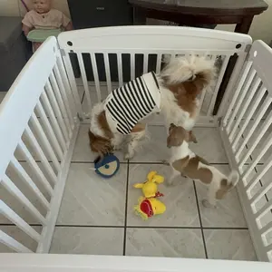 Plastic Pet Playpen, Durable Puppy Playpen with Lockable Door and Non-Slip Bottom, Portable Indoor Outdoor Puppy Pen