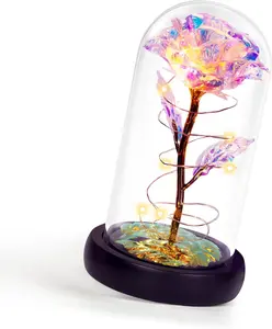 Childom Mothers Day Flowers Gifts for Mom Grandma,Birthday Gifts for Women,Valentines Gifts for Her,Mom,Women,Wife,Grandma,Light up Rose in Glass Dome,Colorful Rainbow Mothers Day Flowers for Delivery CQX